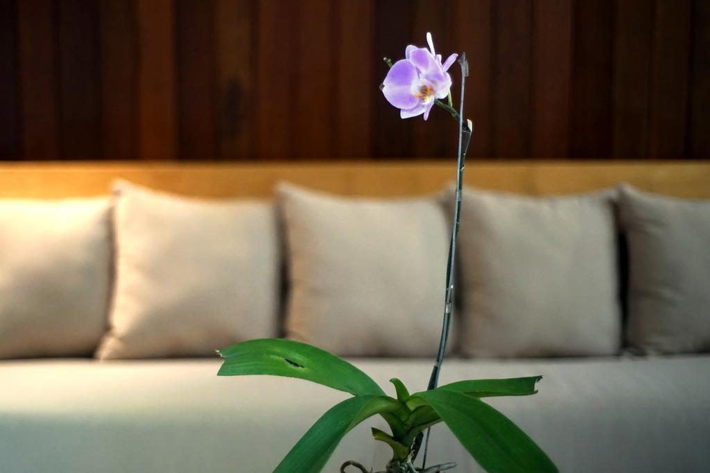 Bale Mandala Villas Senggigi Zewnętrze zdjęcie